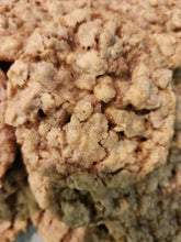 Cinnamon Chip Oatmeal (The Laura Cookie) New Cookie!!